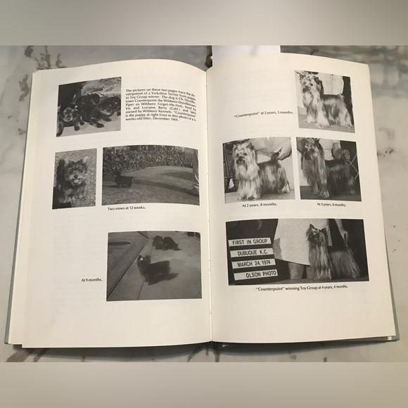 Yorkshire Terrier Vintage Book & teacup - Picture 13 of 13